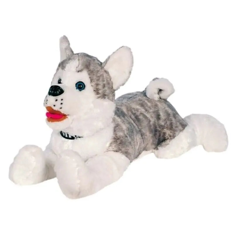 Husky Deitado Friend 60CM